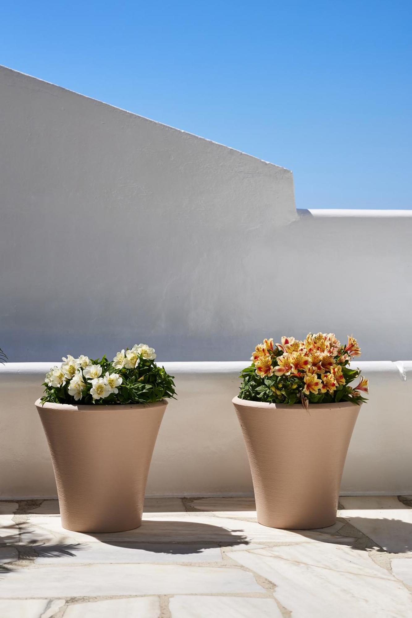 Sand Lily Villa Mykonos Mykonos Town Esterno foto